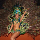 Gala Show 10