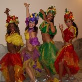 Tangará BrasilDance