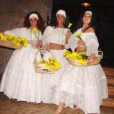 Tangará BrasilDance
